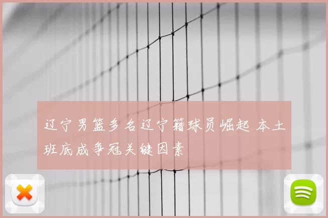 辽宁男篮多名辽宁籍球员崛起 本土班底成争冠关键因素