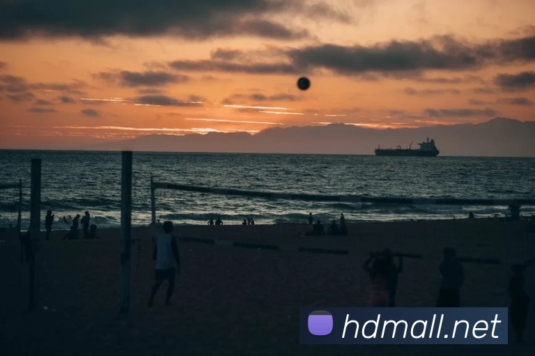 滚球买球的app服务体系